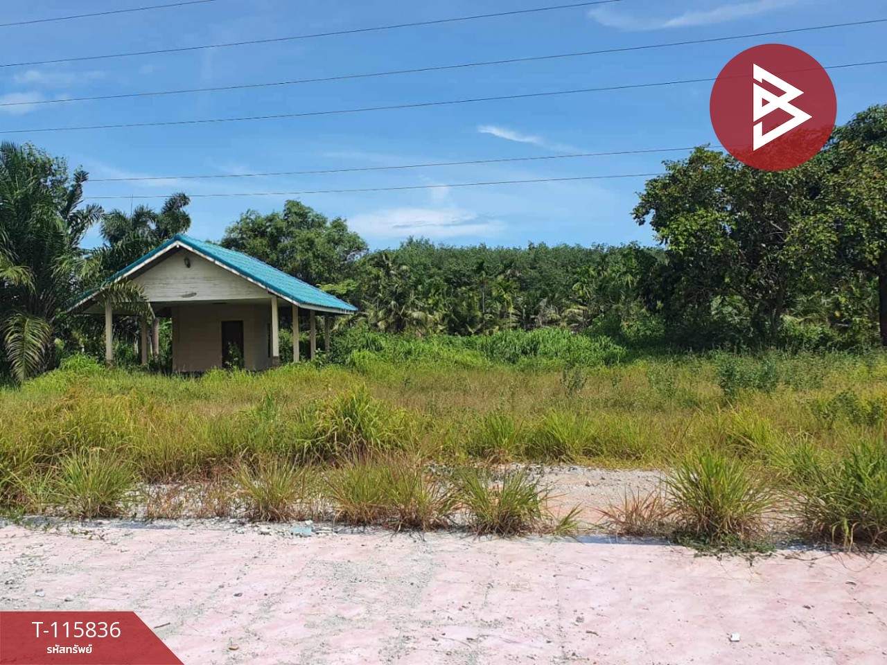 ขายที่ดิน เนื้อที่ 2 ไร่ 1 งาน 40 ตร.วา บ้านค่าย ระยอง 9