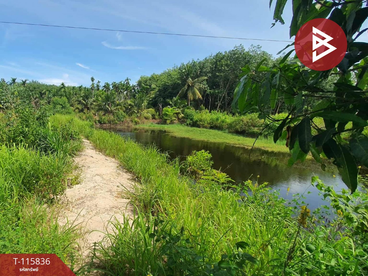 ขายที่ดิน เนื้อที่ 2 ไร่ 1 งาน 40 ตร.วา บ้านค่าย ระยอง 7