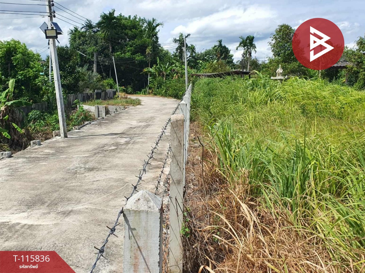 ขายที่ดิน เนื้อที่ 2 ไร่ 1 งาน 40 ตร.วา บ้านค่าย ระยอง 12