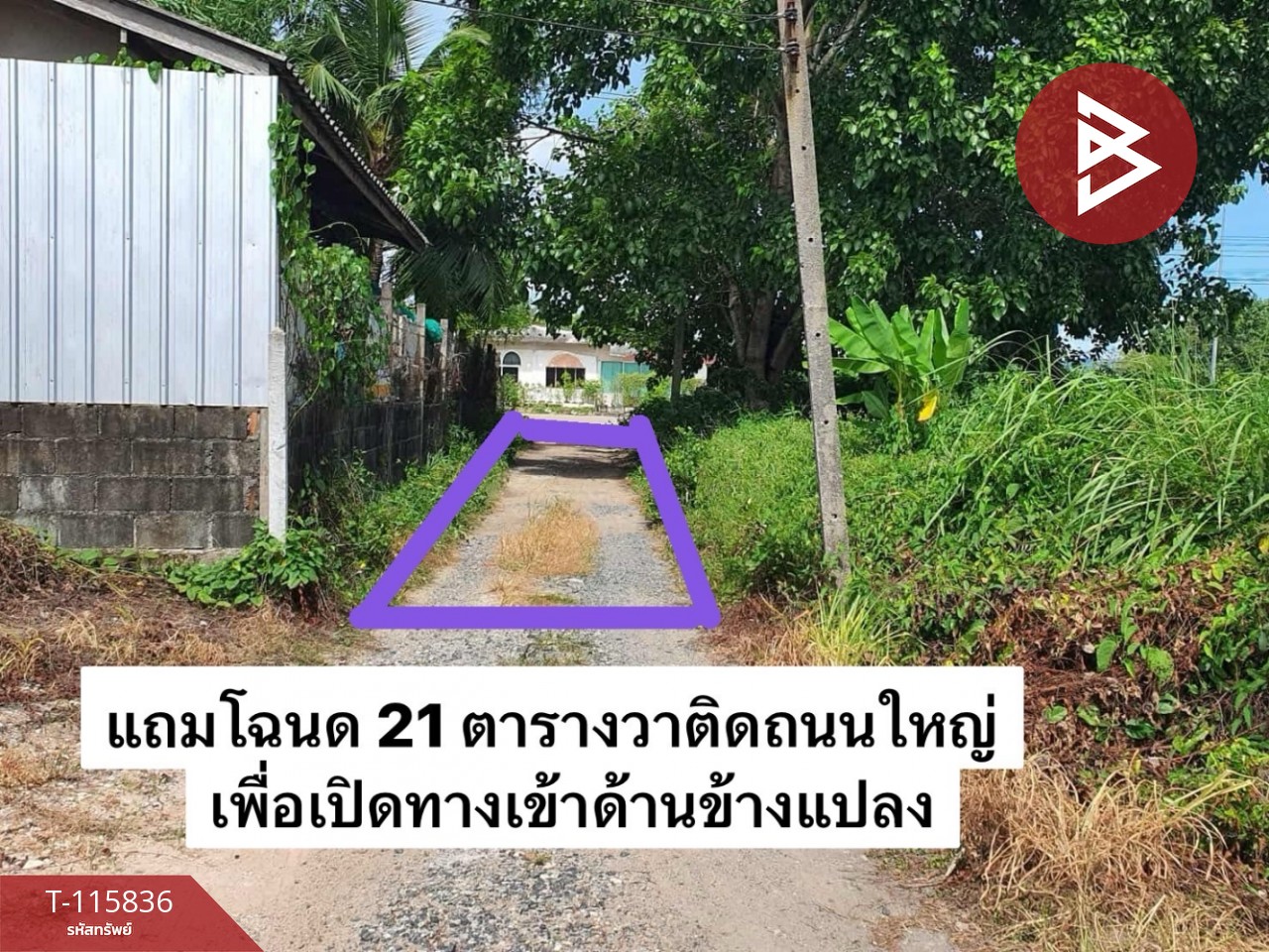 ขายที่ดิน เนื้อที่ 2 ไร่ 1 งาน 40 ตร.วา บ้านค่าย ระยอง 3