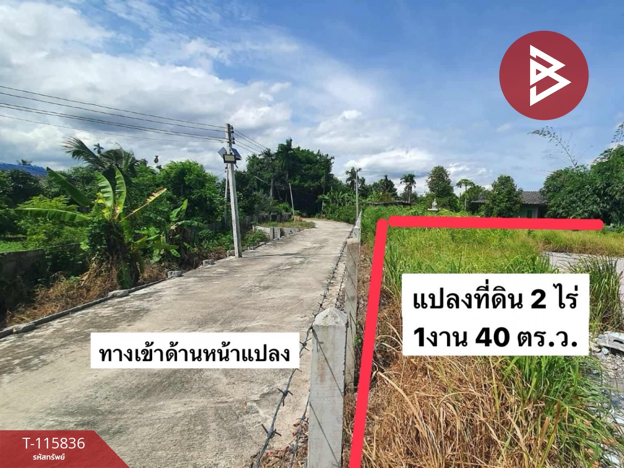 ขายที่ดิน เนื้อที่ 2 ไร่ 1 งาน 40 ตร.วา บ้านค่าย ระยอง 11