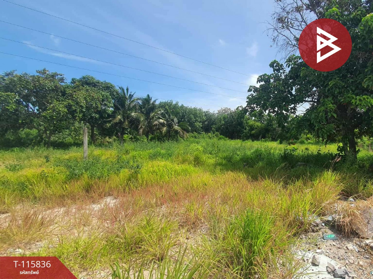 ขายที่ดิน เนื้อที่ 2 ไร่ 1 งาน 40 ตร.วา บ้านค่าย ระยอง 5