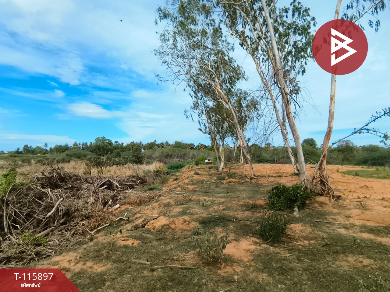 ขายที่ดินถมแล้ว เนื้อที่ 1 ไร่ 2 งาน 13 ตารางวา ต.บางเก่า อ.ชะอำ จ.เพชรบุรี วิวสวย 12