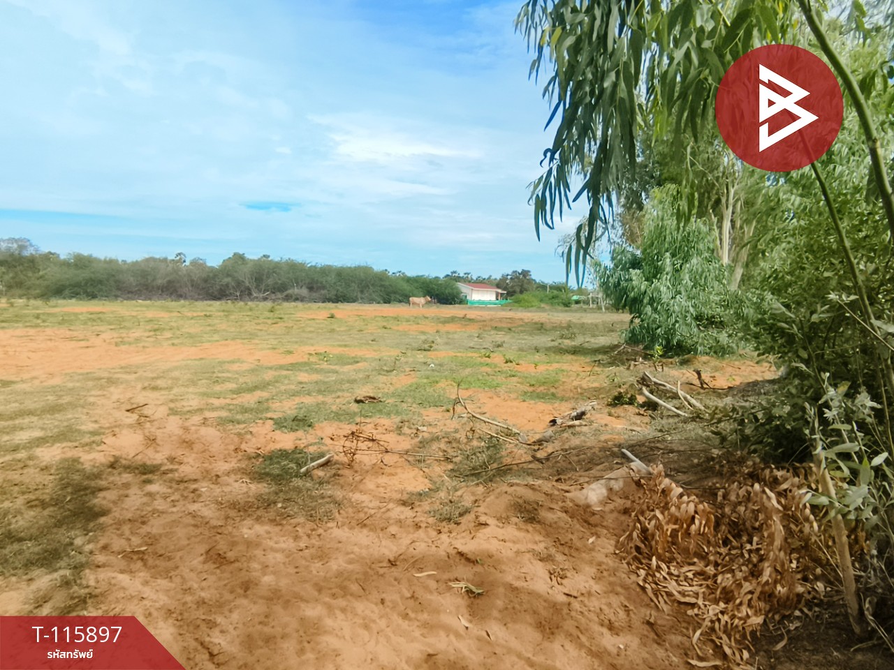 ขายที่ดินถมแล้ว เนื้อที่ 1 ไร่ 2 งาน 13 ตารางวา ต.บางเก่า อ.ชะอำ จ.เพชรบุรี วิวสวย 4