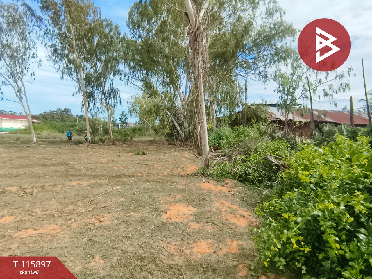 ขายที่ดินถมแล้ว เนื้อที่ 1 ไร่ 2 งาน 13 ตารางวา ต.บางเก่า อ.ชะอำ จ.เพชรบุรี วิวสวย 10