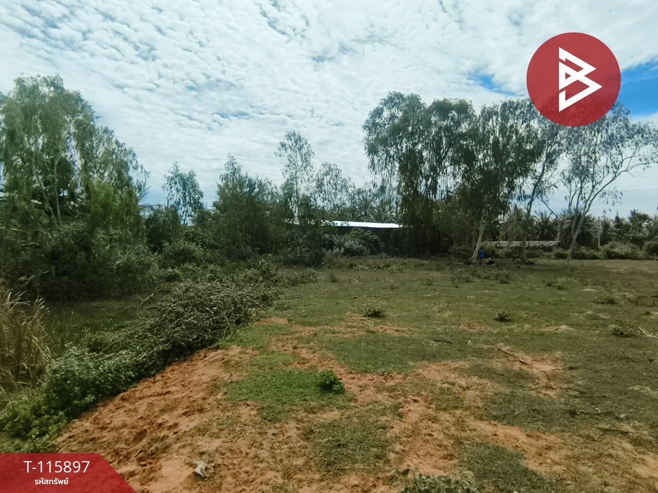 ขายที่ดินถมแล้ว เนื้อที่ 1 ไร่ 2 งาน 13 ตารางวา ต.บางเก่า อ.ชะอำ จ.เพชรบุรี วิวสวย 6