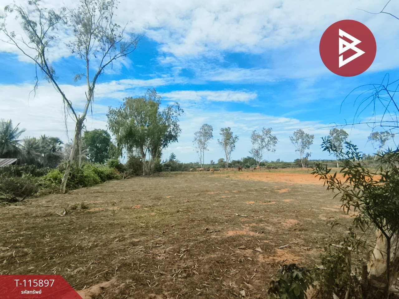 ขายที่ดินถมแล้ว เนื้อที่ 1 ไร่ 2 งาน 13 ตารางวา ต.บางเก่า อ.ชะอำ จ.เพชรบุรี วิวสวย 15