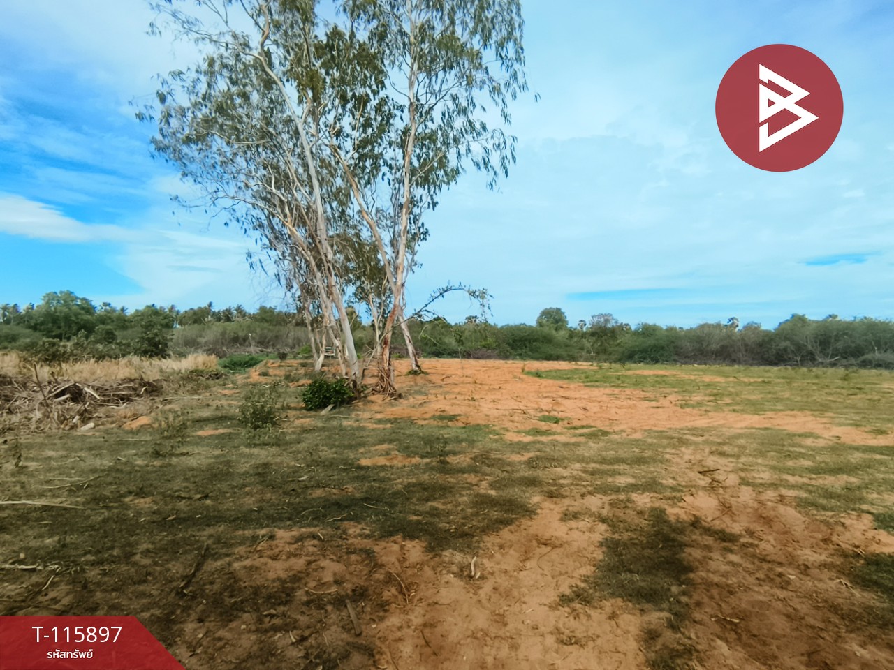 ขายที่ดินถมแล้ว เนื้อที่ 1 ไร่ 2 งาน 13 ตารางวา ต.บางเก่า อ.ชะอำ จ.เพชรบุรี วิวสวย 7