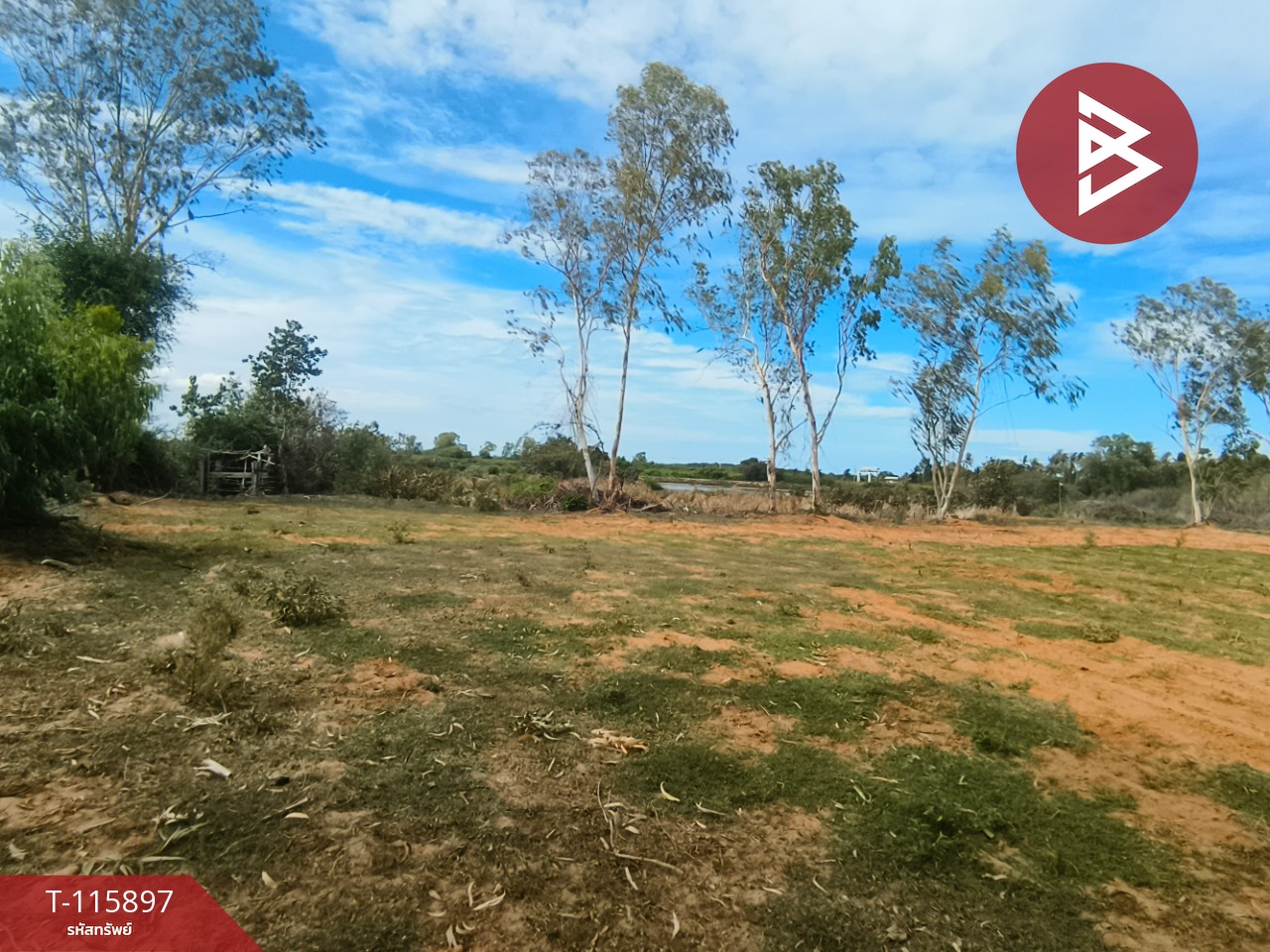 ขายที่ดินถมแล้ว เนื้อที่ 1 ไร่ 2 งาน 13 ตารางวา ต.บางเก่า อ.ชะอำ จ.เพชรบุรี วิวสวย 13