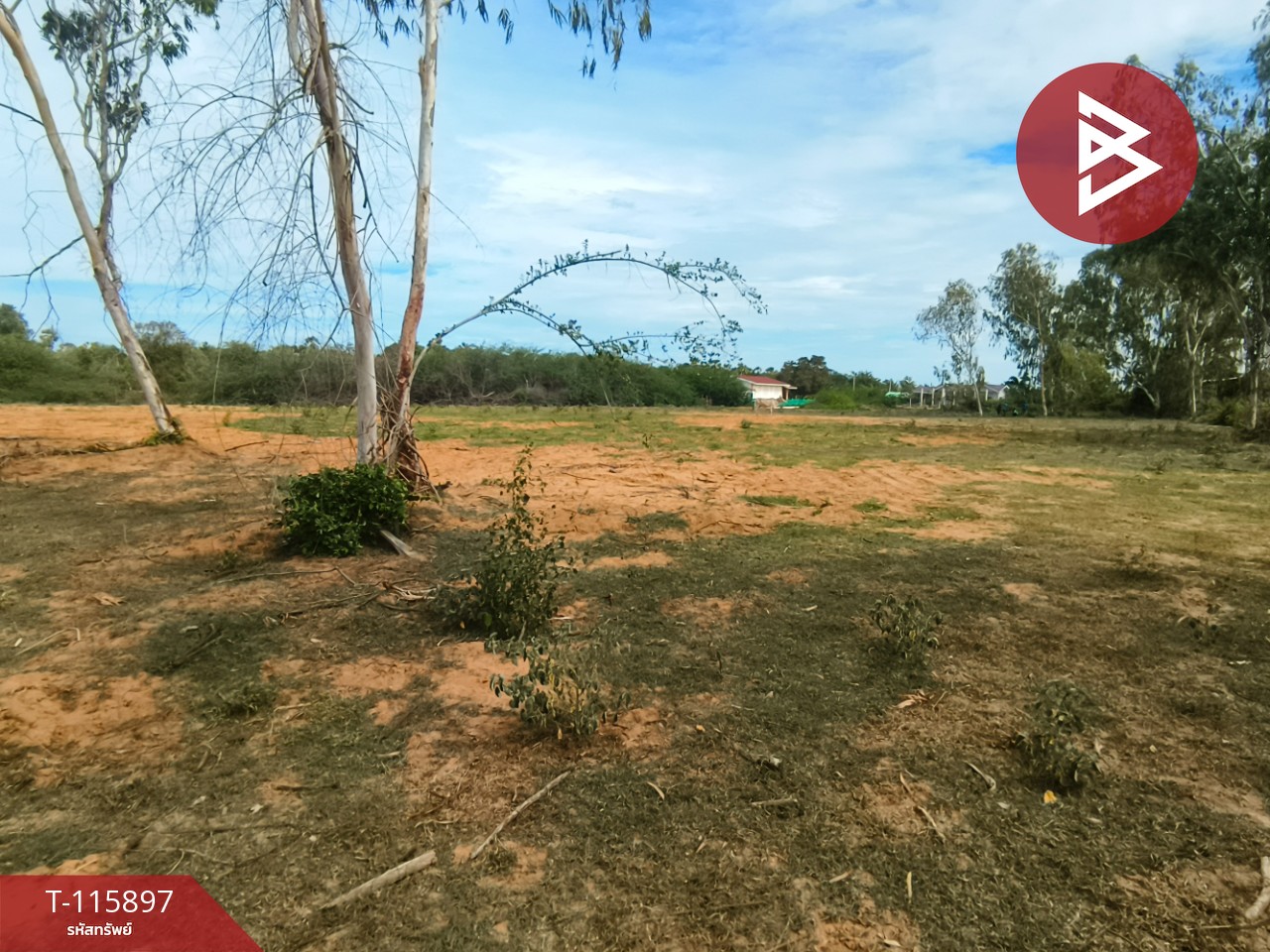 ขายที่ดินถมแล้ว เนื้อที่ 1 ไร่ 2 งาน 13 ตารางวา ต.บางเก่า อ.ชะอำ จ.เพชรบุรี วิวสวย 14