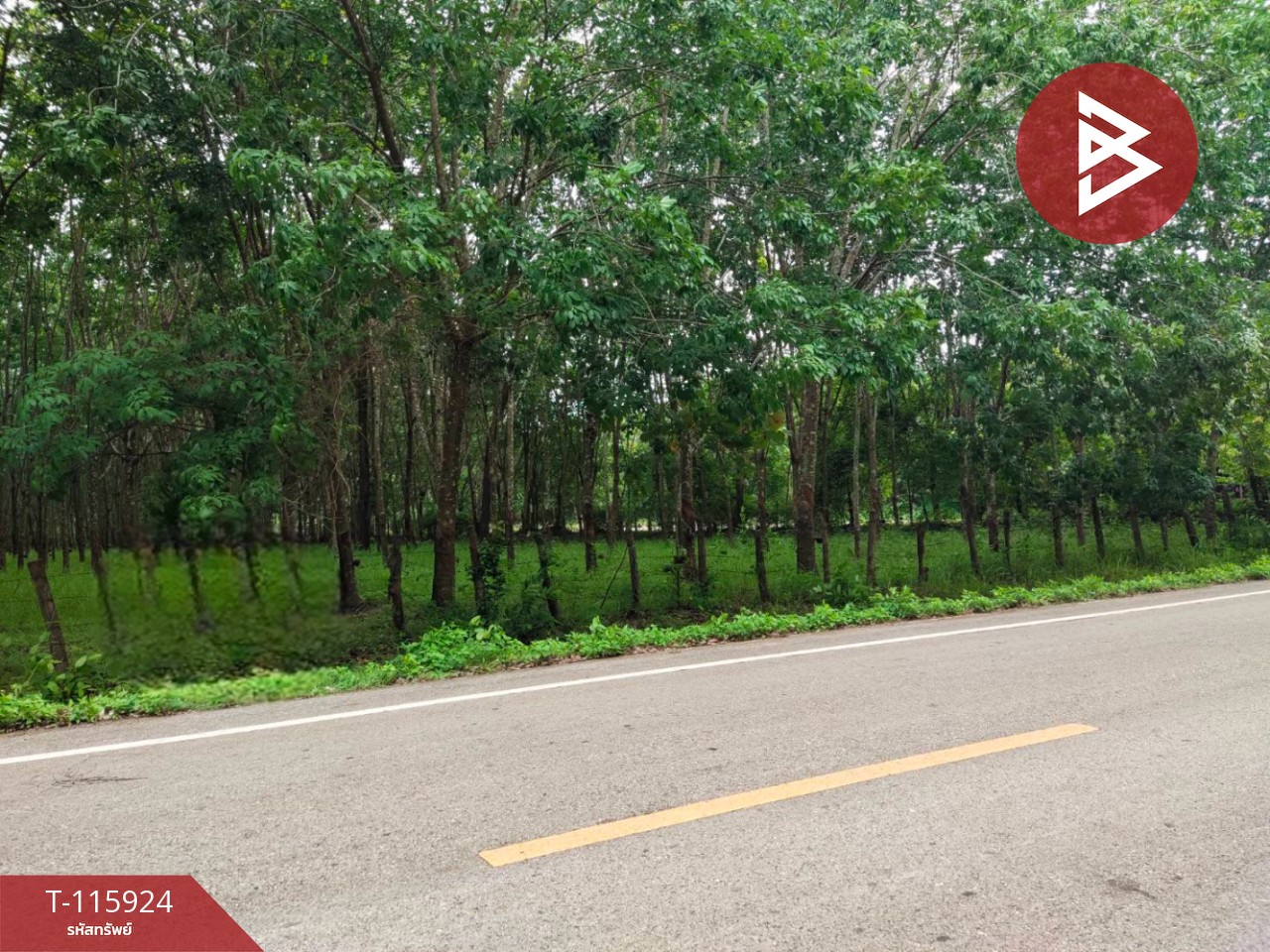 ขายที่ดิน เนื้อที่ 42 ไร่ 1 งาน 6 ตร.วา คำเตย นครพนม 4