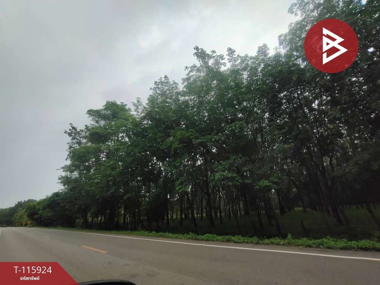 ขายที่ดิน เนื้อที่ 42 ไร่ 1 งาน 6 ตร.วา คำเตย นครพนม 2