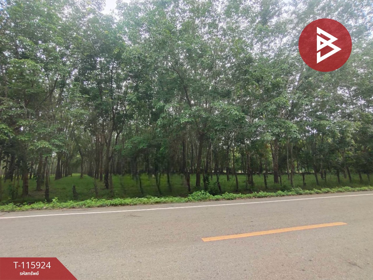 ขายที่ดิน เนื้อที่ 42 ไร่ 1 งาน 6 ตร.วา คำเตย นครพนม 1