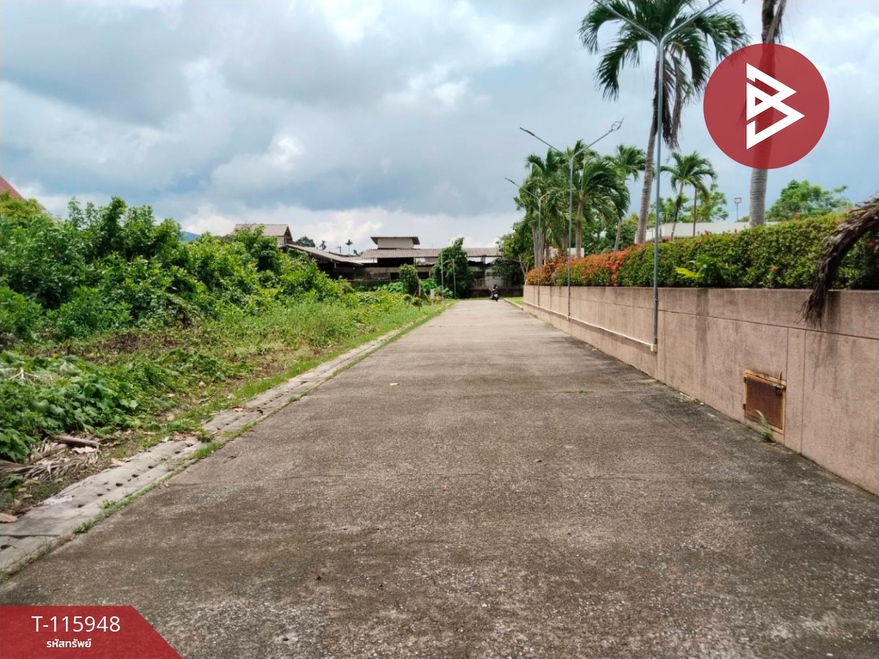 ขายที่ดิน เนื้อที่ 1 ไร่ 3 งาน 43.6 ตร.วา ขลุง จันทบุรี 3