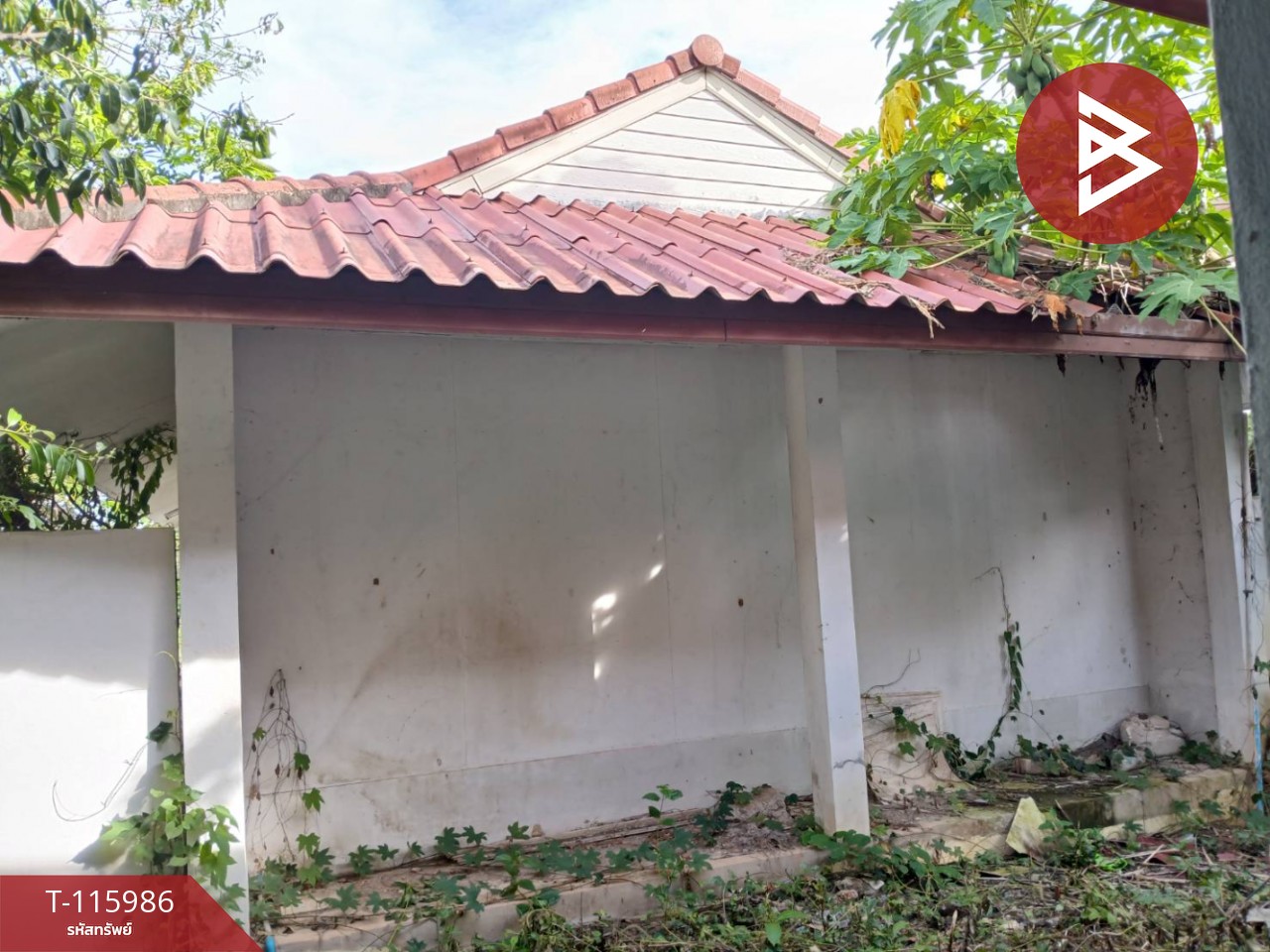 ขายที่ดินพร้อมสิ่งปลูกสร้าง เนื้อที่ 2 ไร่ 3 งาน 52 ตร.วา งิ้วงาม อุตรดิตถ์ 7