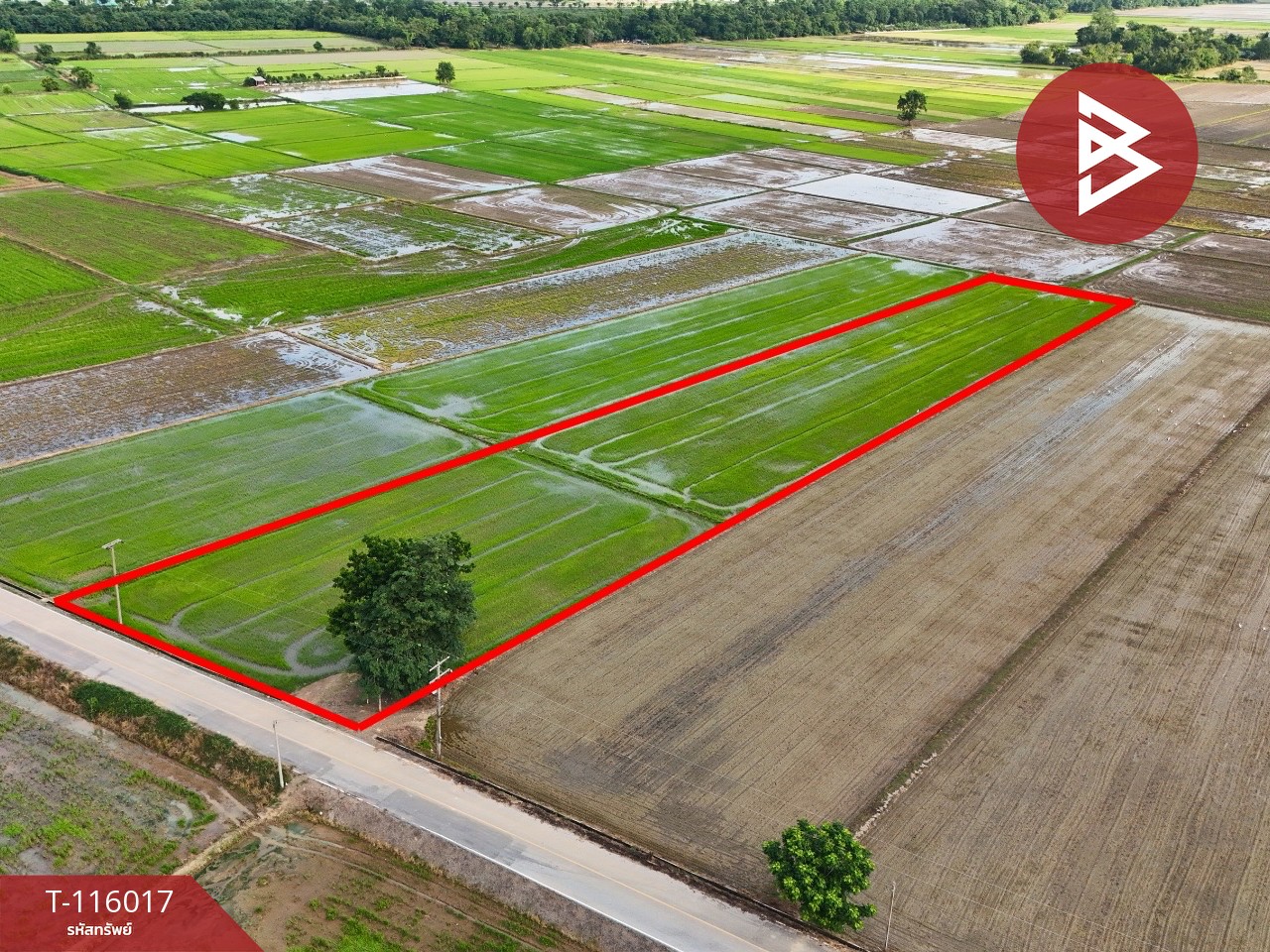 ขายที่ดิน เนื้อที่ 4 ไร่ 2 งาน 34.2 ตร.วา คุ้งตะเภา อุตรดิตถ์ 10