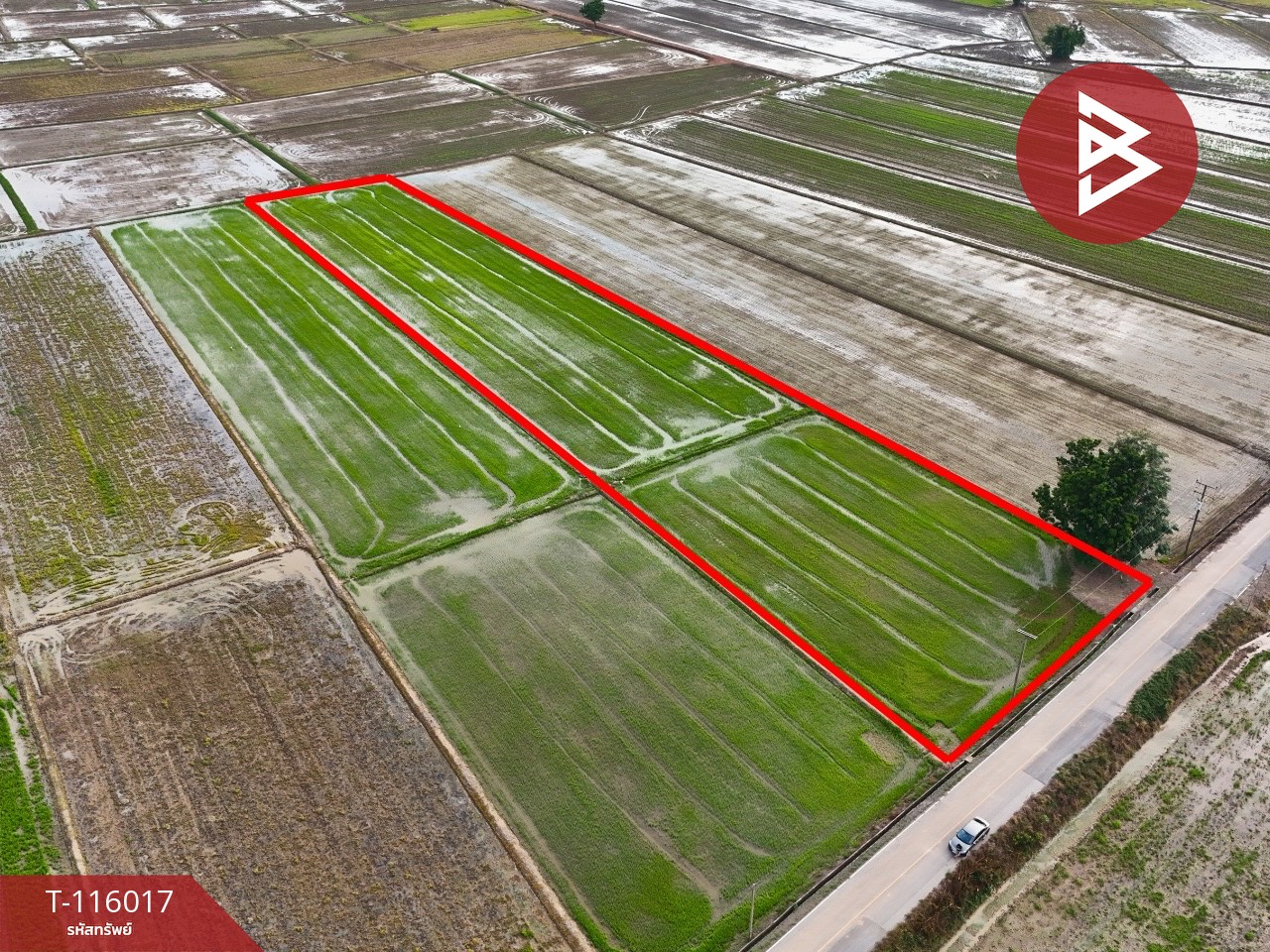 ขายที่ดิน เนื้อที่ 4 ไร่ 2 งาน 34.2 ตร.วา คุ้งตะเภา อุตรดิตถ์ 9