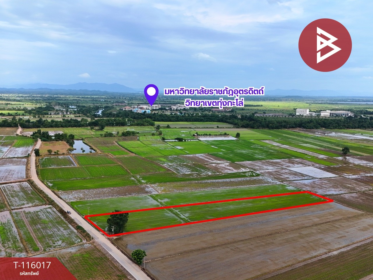 ขายที่ดิน เนื้อที่ 4 ไร่ 2 งาน 34.2 ตร.วา คุ้งตะเภา อุตรดิตถ์ 8