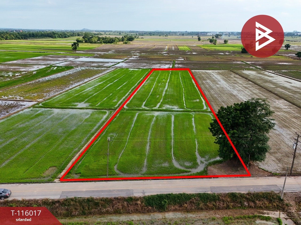 ขายที่ดิน เนื้อที่ 4 ไร่ 2 งาน 34.2 ตร.วา คุ้งตะเภา อุตรดิตถ์ 11