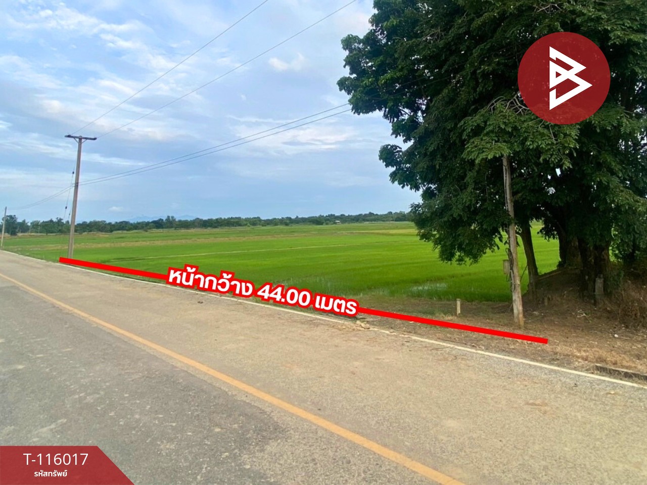 ขายที่ดิน เนื้อที่ 4 ไร่ 2 งาน 34.2 ตร.วา คุ้งตะเภา อุตรดิตถ์ 2