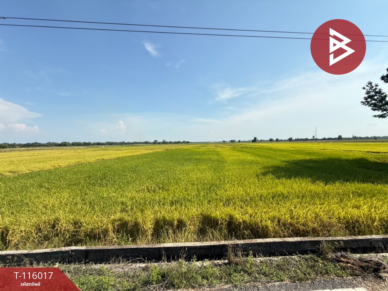 ขายที่ดิน เนื้อที่ 4 ไร่ 2 งาน 34.2 ตร.วา คุ้งตะเภา อุตรดิตถ์ 5