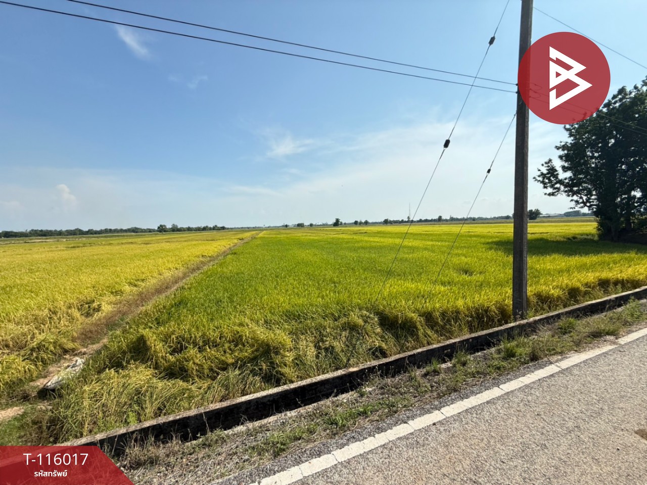 ขายที่ดิน เนื้อที่ 4 ไร่ 2 งาน 34.2 ตร.วา คุ้งตะเภา อุตรดิตถ์ 7