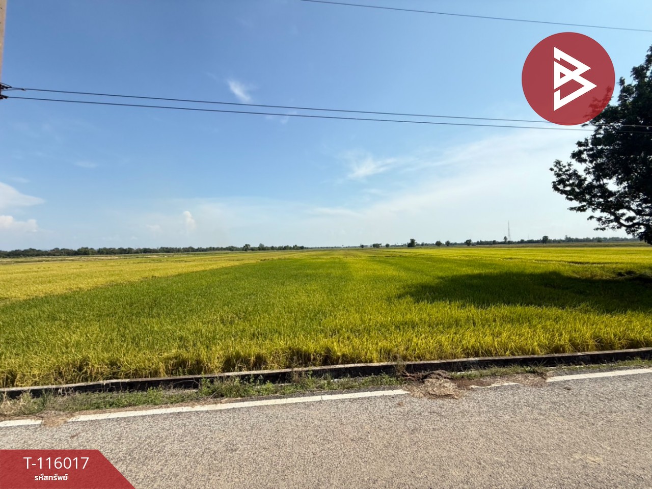 ขายที่ดิน เนื้อที่ 4 ไร่ 2 งาน 34.2 ตร.วา คุ้งตะเภา อุตรดิตถ์ 1