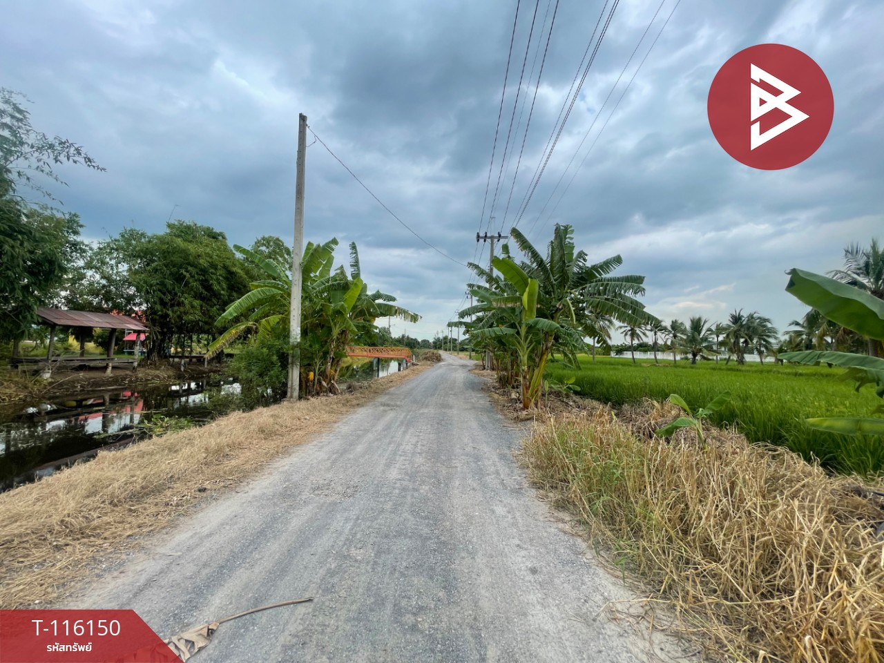 ขายที่ดิน เนื้อที่ 19 ไร่ 84 ตร.วา หนองจอก กรุงเทพมหานคร 1