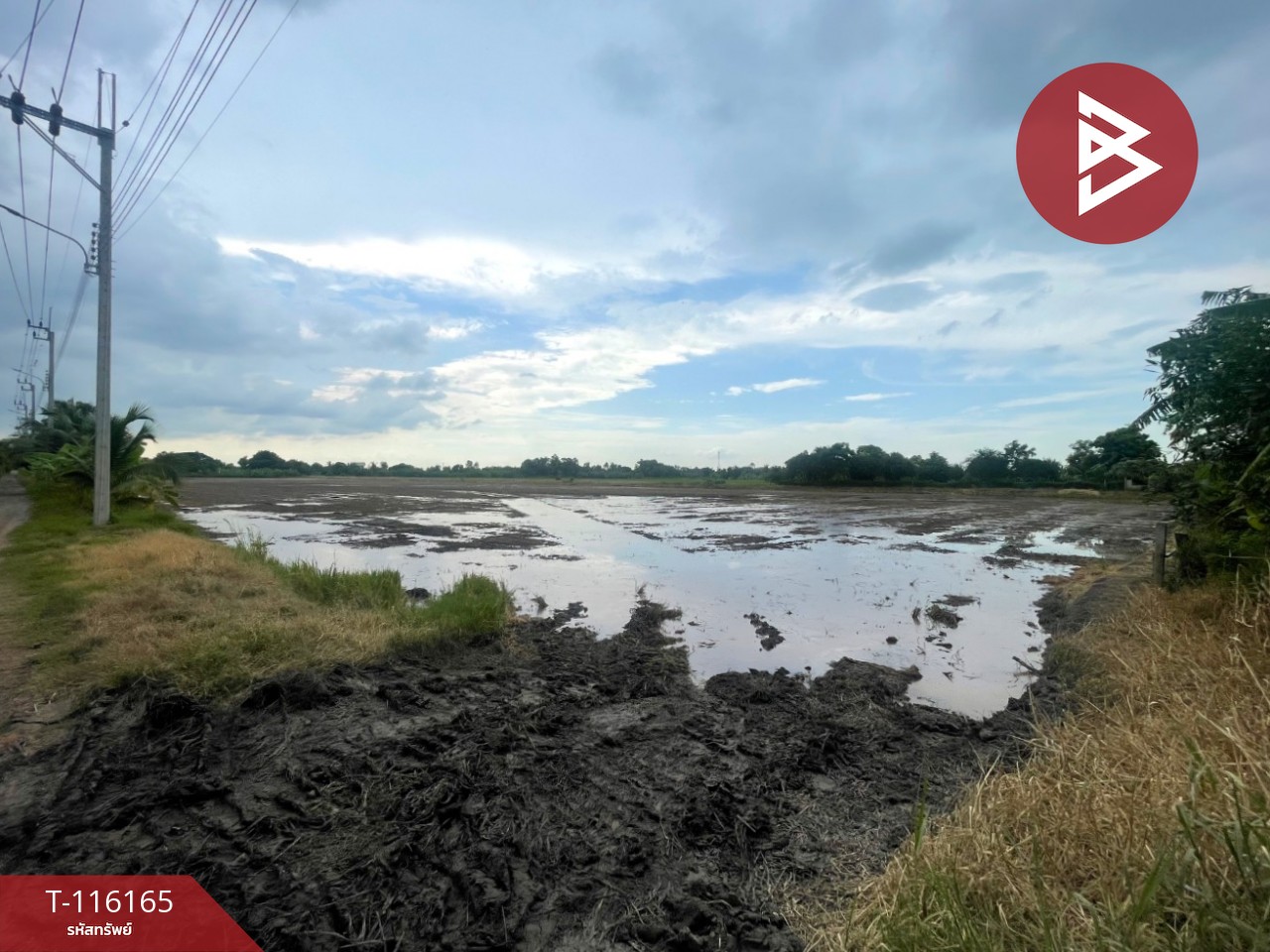 ขายที่ดิน เนื้อที่ 5 ไร่ หนองจอก กรุงเทพมหานคร 1