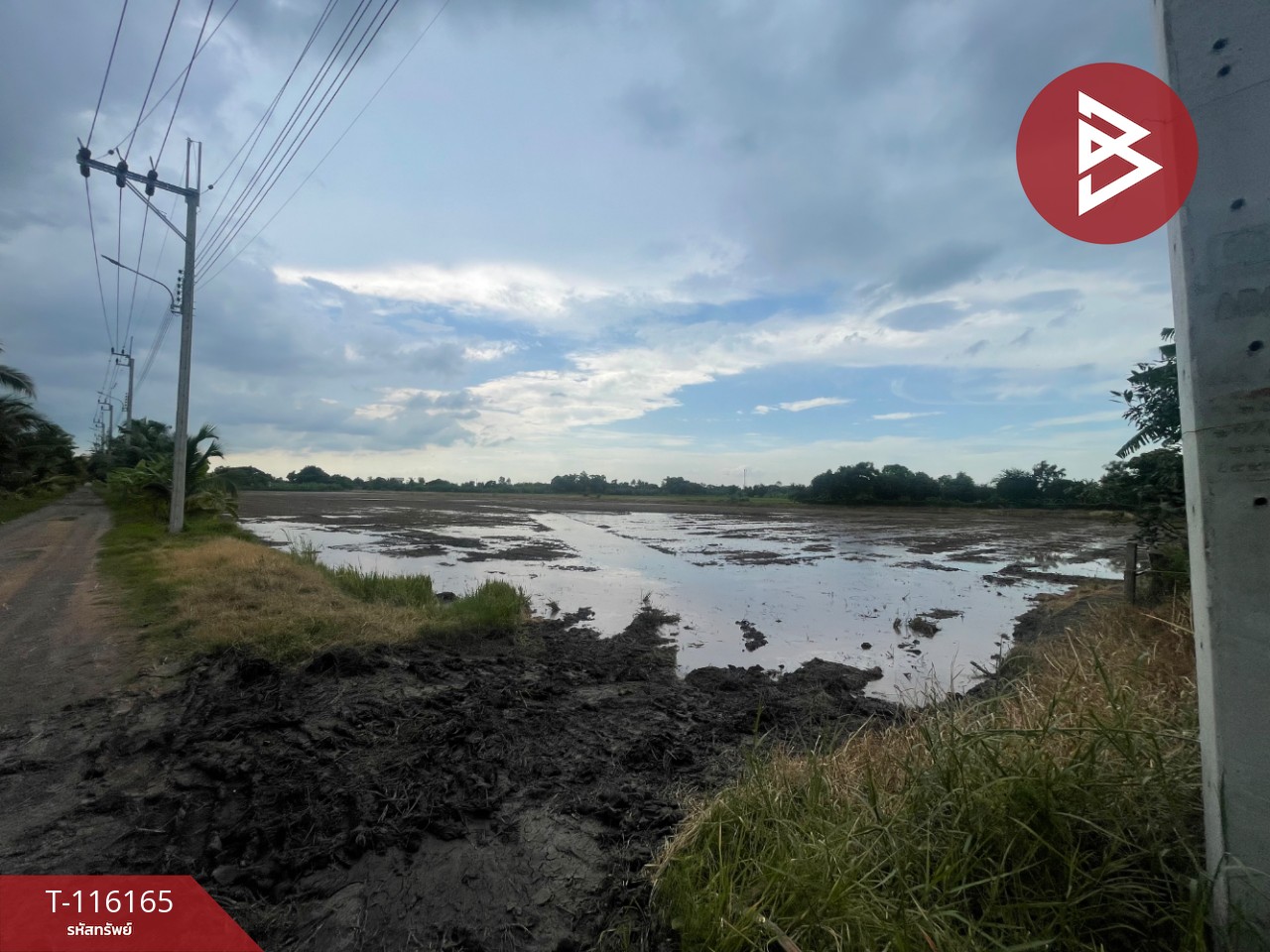 ขายที่ดิน เนื้อที่ 5 ไร่ หนองจอก กรุงเทพมหานคร 4