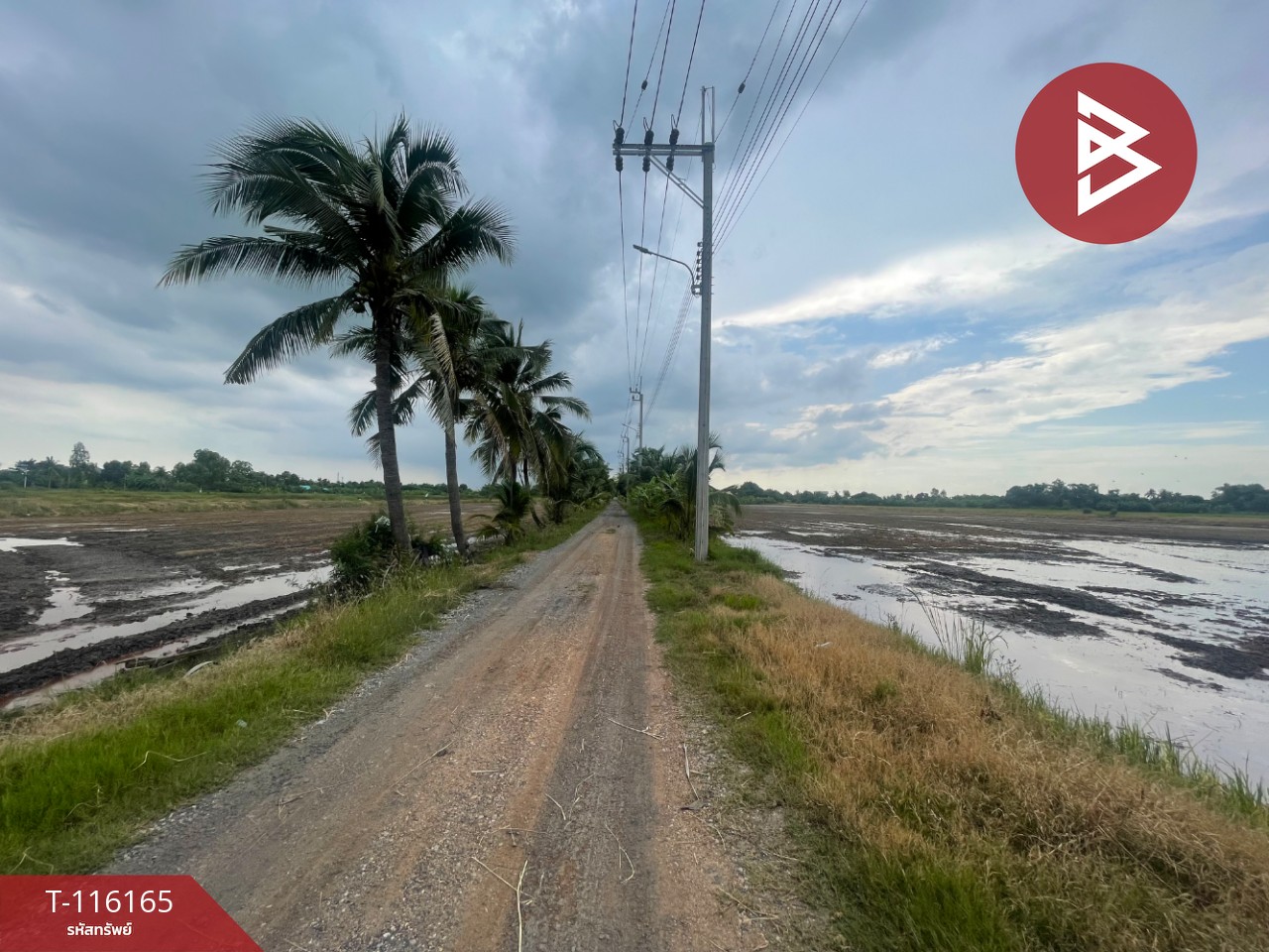 ขายที่ดิน เนื้อที่ 5 ไร่ หนองจอก กรุงเทพมหานคร 5