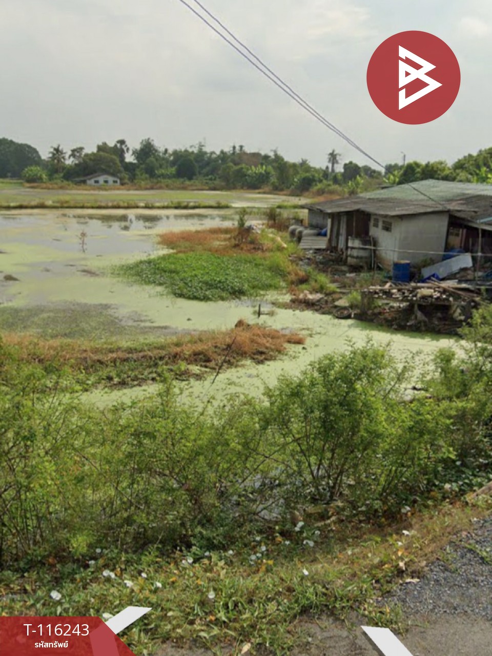 ขายที่ดิน เนื้อที่ 5 ไร่ 3 งาน 11 ตร.วา ลาดกระบัง กรุงเทพมหานคร 10