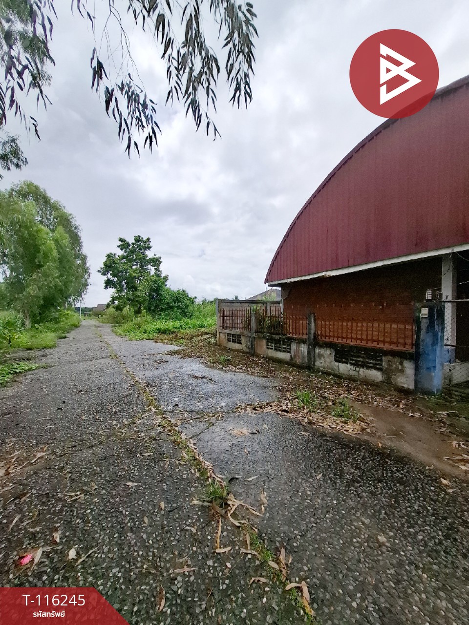 ขายบ้านเดี่ยวชั้นเดียว เนื้อที่ 84 ตารางวา อ.แม่สาย เชียงราย 12