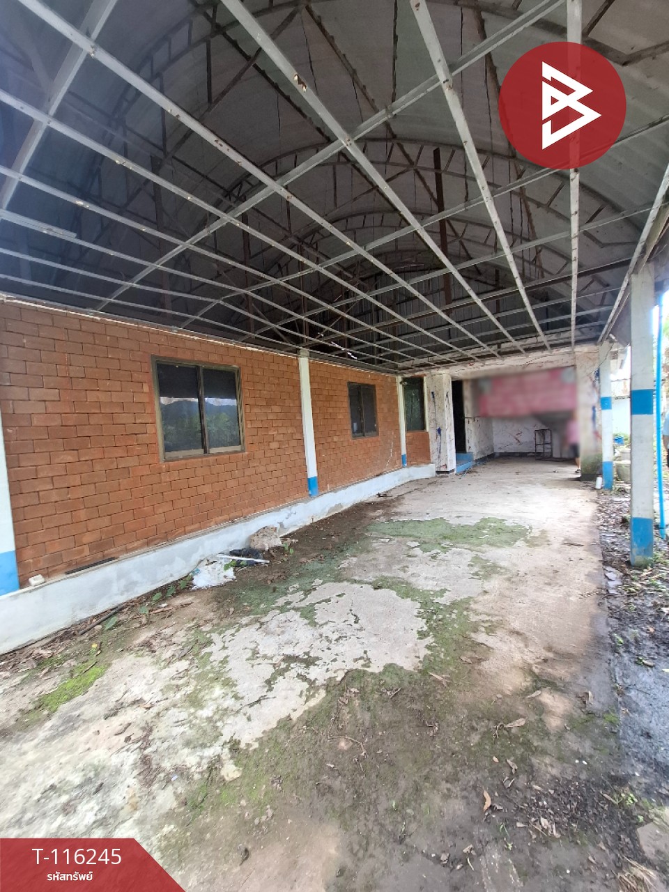 ขายบ้านเดี่ยวชั้นเดียว เนื้อที่ 84 ตารางวา อ.แม่สาย เชียงราย 9