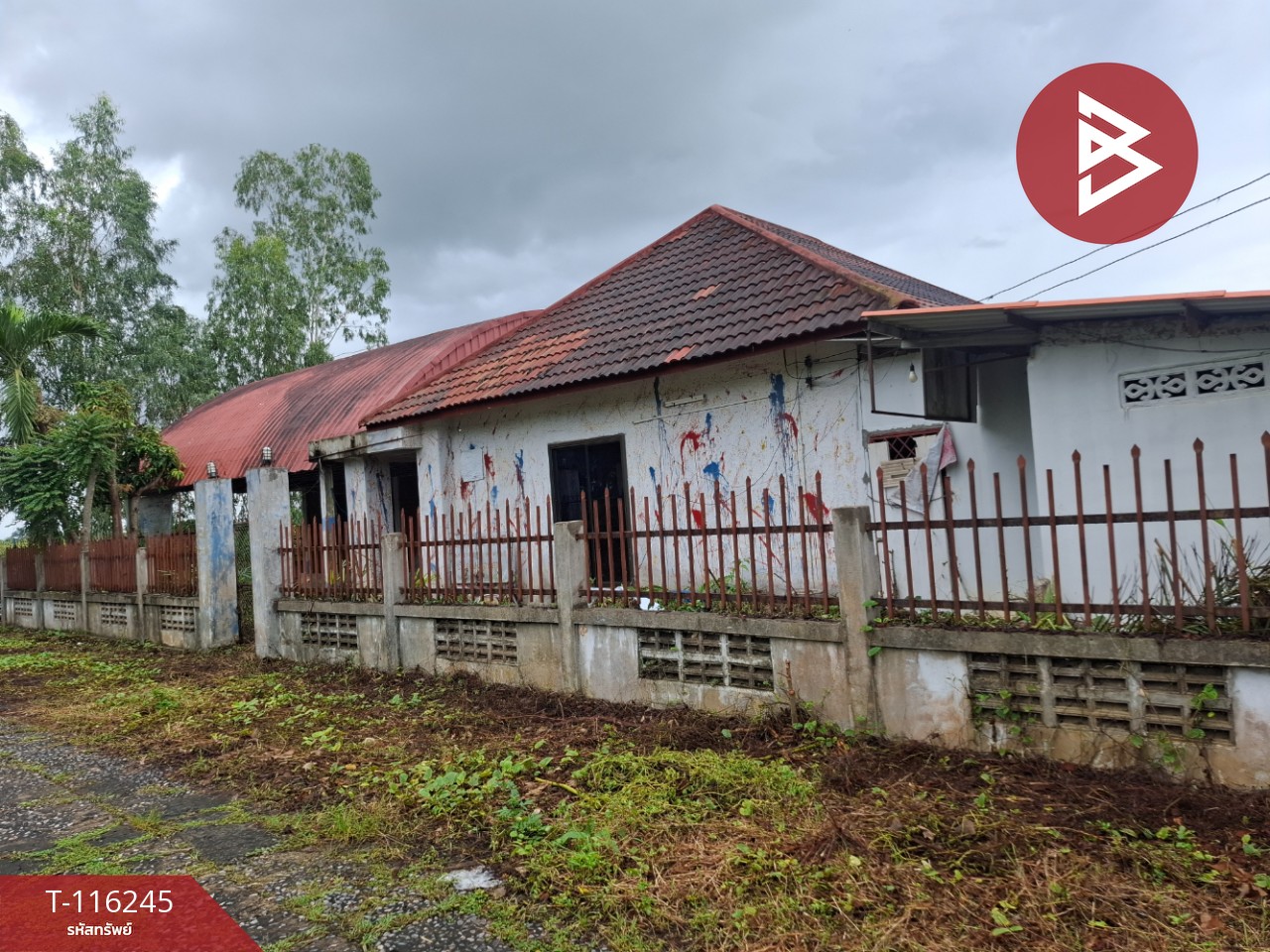 ขายบ้านเดี่ยวชั้นเดียว เนื้อที่ 84 ตารางวา อ.แม่สาย เชียงราย 10