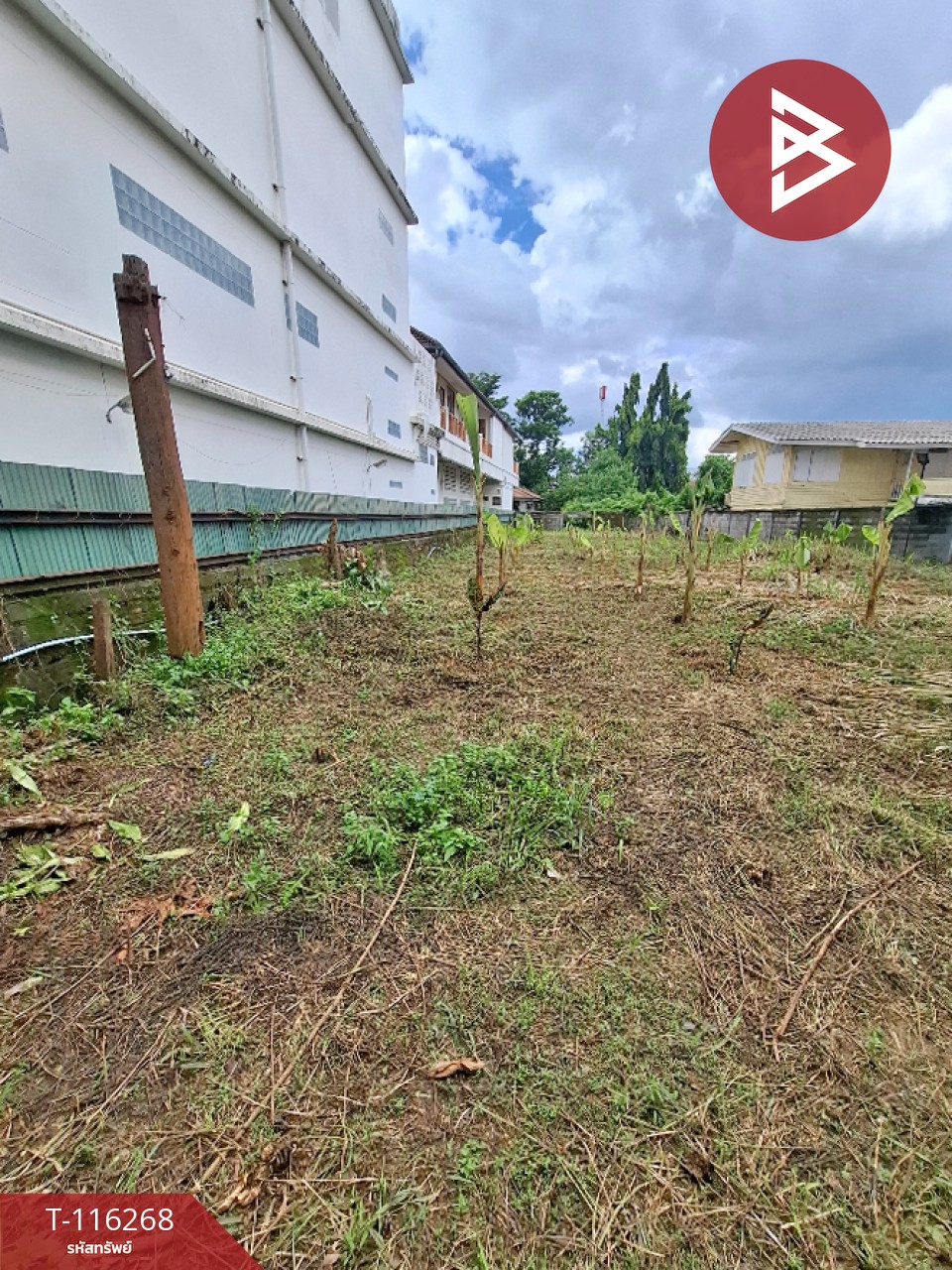 ขายที่ดินเปล่า เนื้อที่ 149 ตารางวา ต.เวียง เชียงราย 2