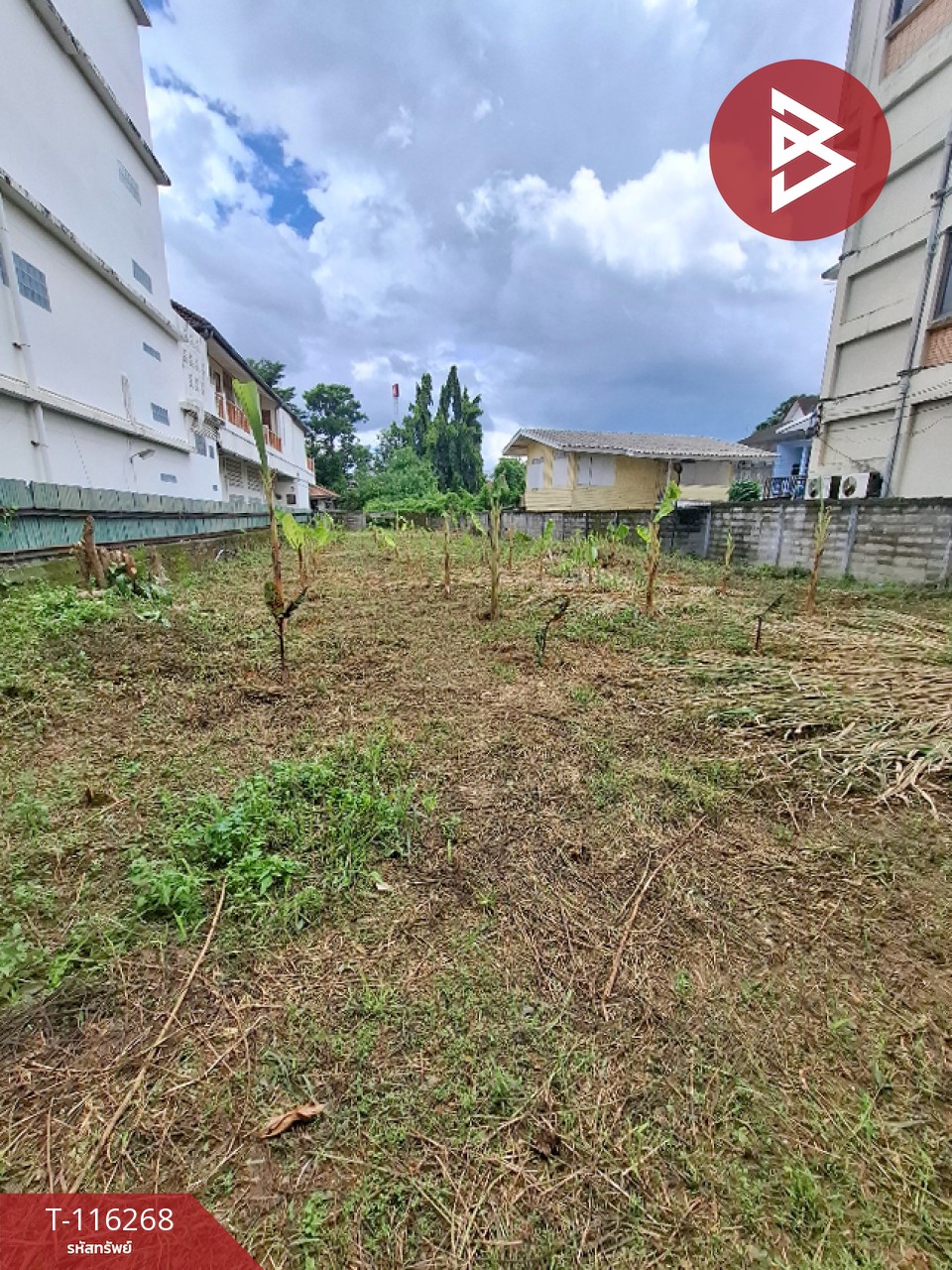 ขายที่ดินเปล่า เนื้อที่ 149 ตารางวา ต.เวียง เชียงราย 3