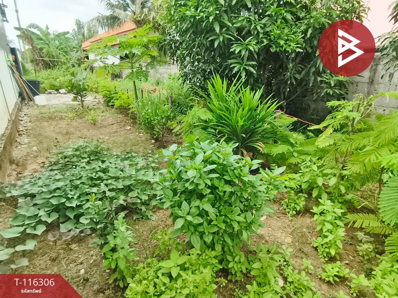 ขายบ้านเดี่ยว โครงการบ้านภิรมย์สุข บ้านหม้อ เพชรบุรี 15