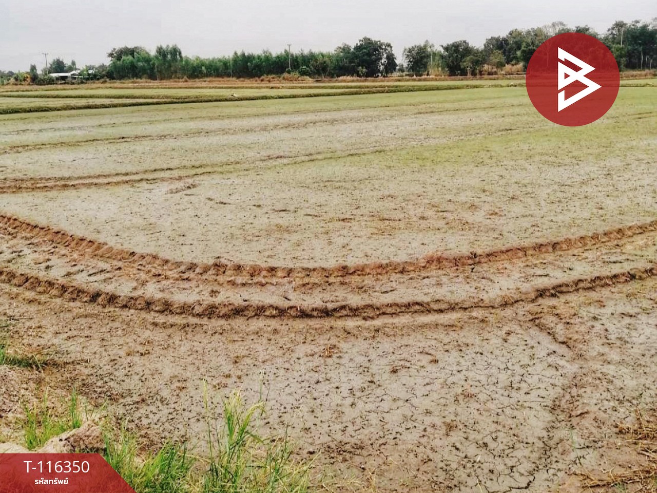 ขายด่วนที่ดินสวย เนื้อที่ 68 ไร่ 32 ตารางวา ต.หนองกระทุ่ม อ.ทัพทัน จ.อุทัยธานี ทำเลดี 7