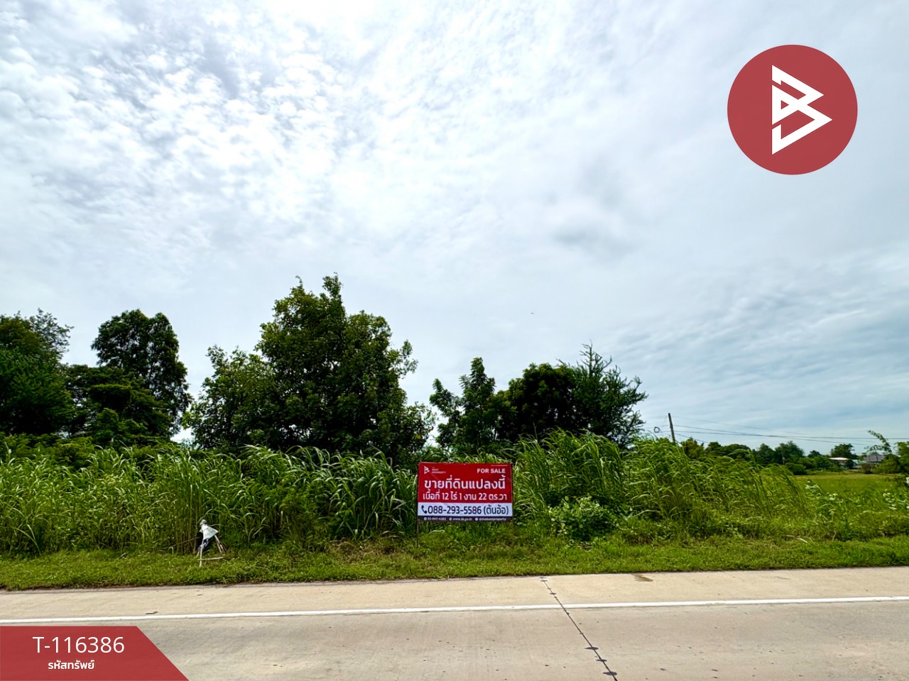 ขายที่ดินเปล่า เนื้อที่ 12 ไร่ 1 งาน 22 ตร.วา ตาคลี นครสวรรค์ 1