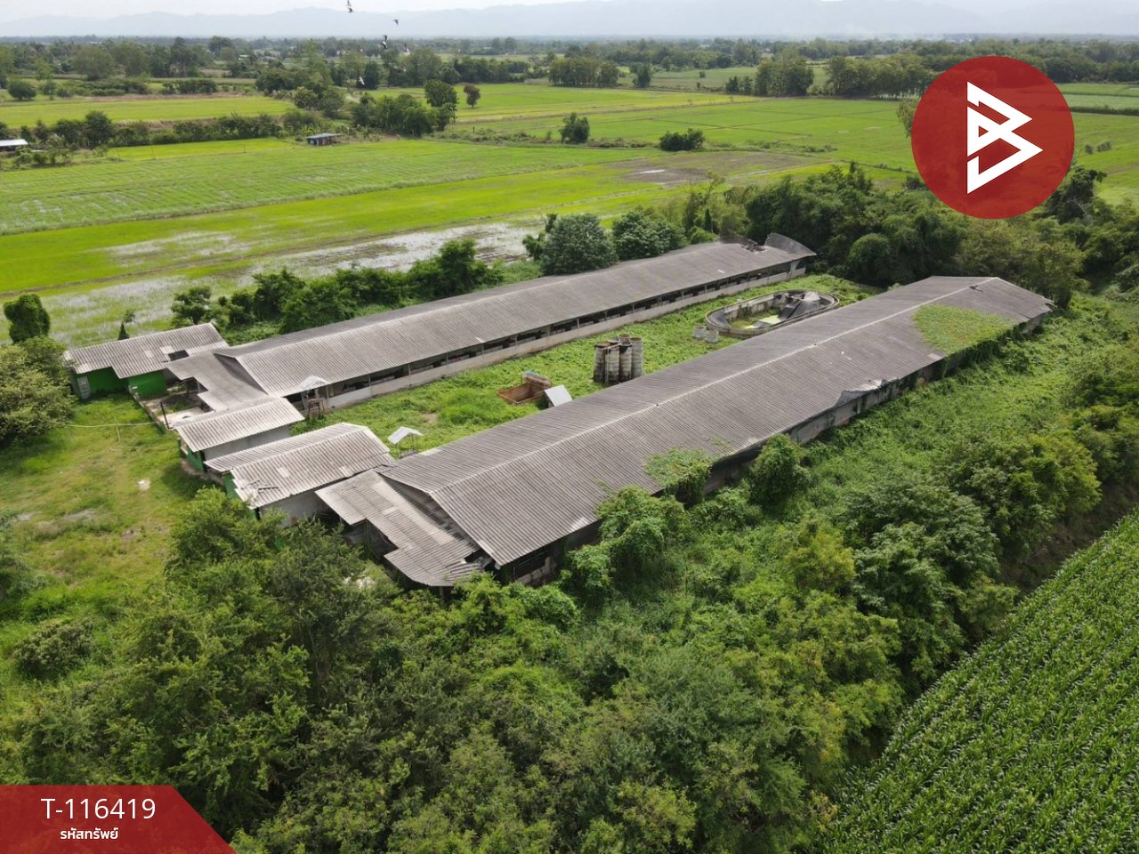 ขายที่ดินสวย เนื้อที่ 11 ไร่ 2 งาน 77.6 ตารางวา ต.สะเดียง เพชรบูรณ์ 8