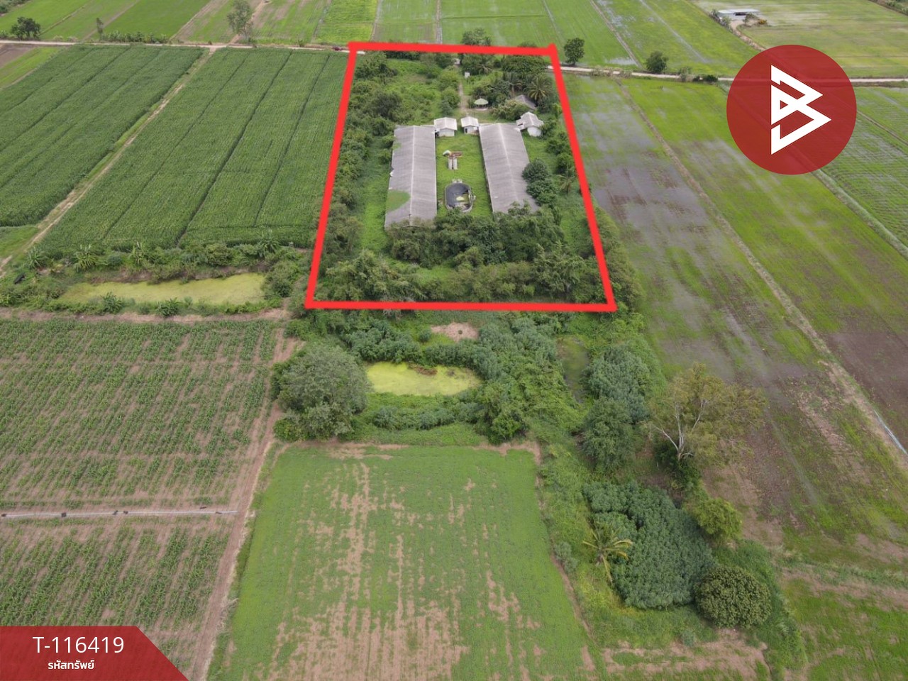 ขายที่ดินสวย เนื้อที่ 11 ไร่ 2 งาน 77.6 ตารางวา ต.สะเดียง เพชรบูรณ์ 3