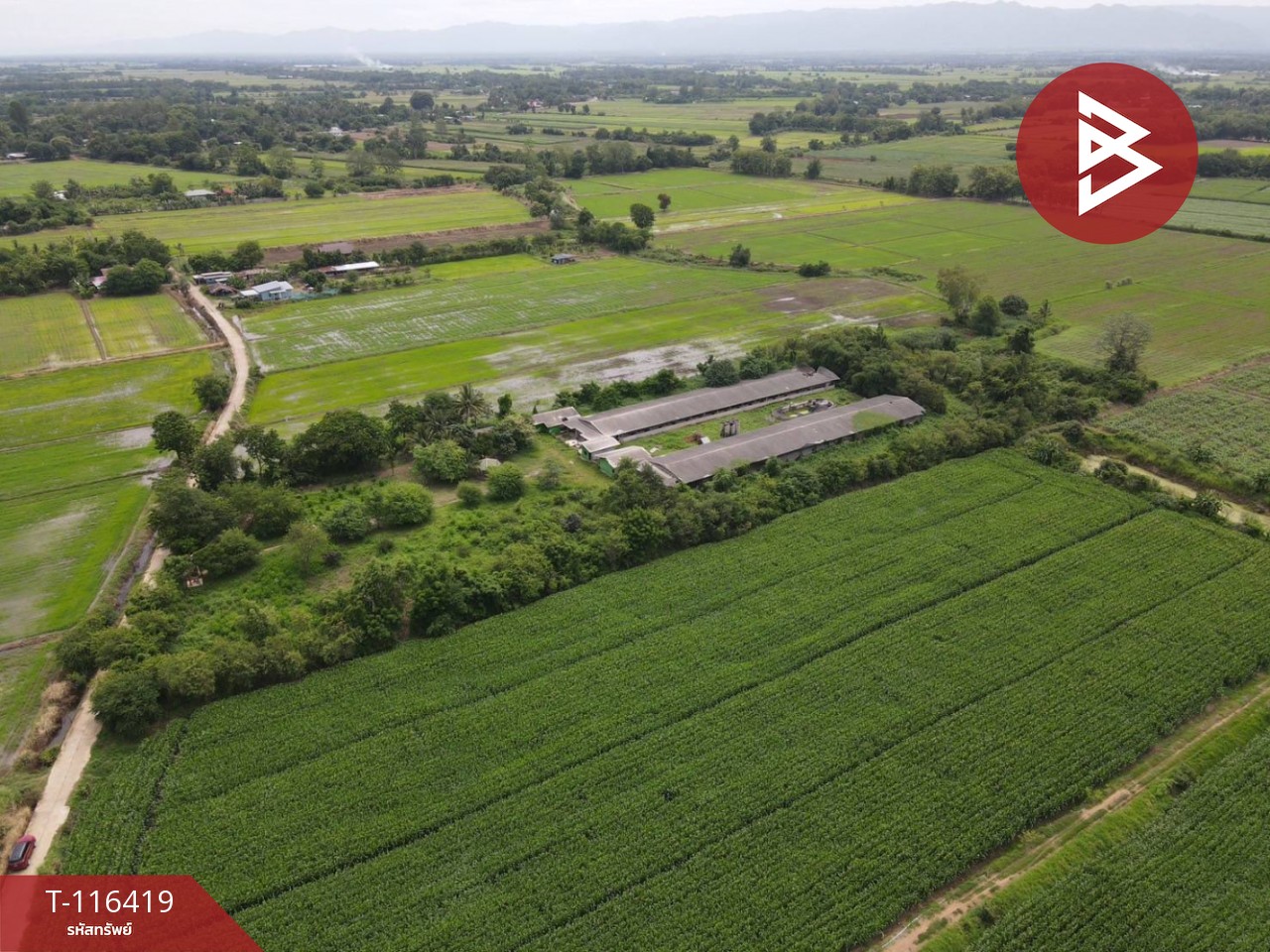 ขายที่ดินสวย เนื้อที่ 11 ไร่ 2 งาน 77.6 ตารางวา ต.สะเดียง เพชรบูรณ์ 9