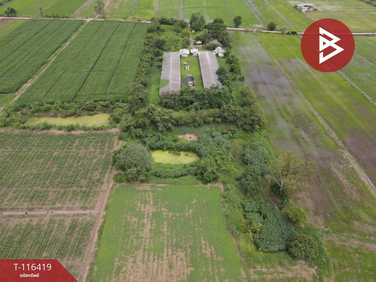 ขายที่ดินสวย เนื้อที่ 11 ไร่ 2 งาน 77.6 ตารางวา ต.สะเดียง เพชรบูรณ์ 4