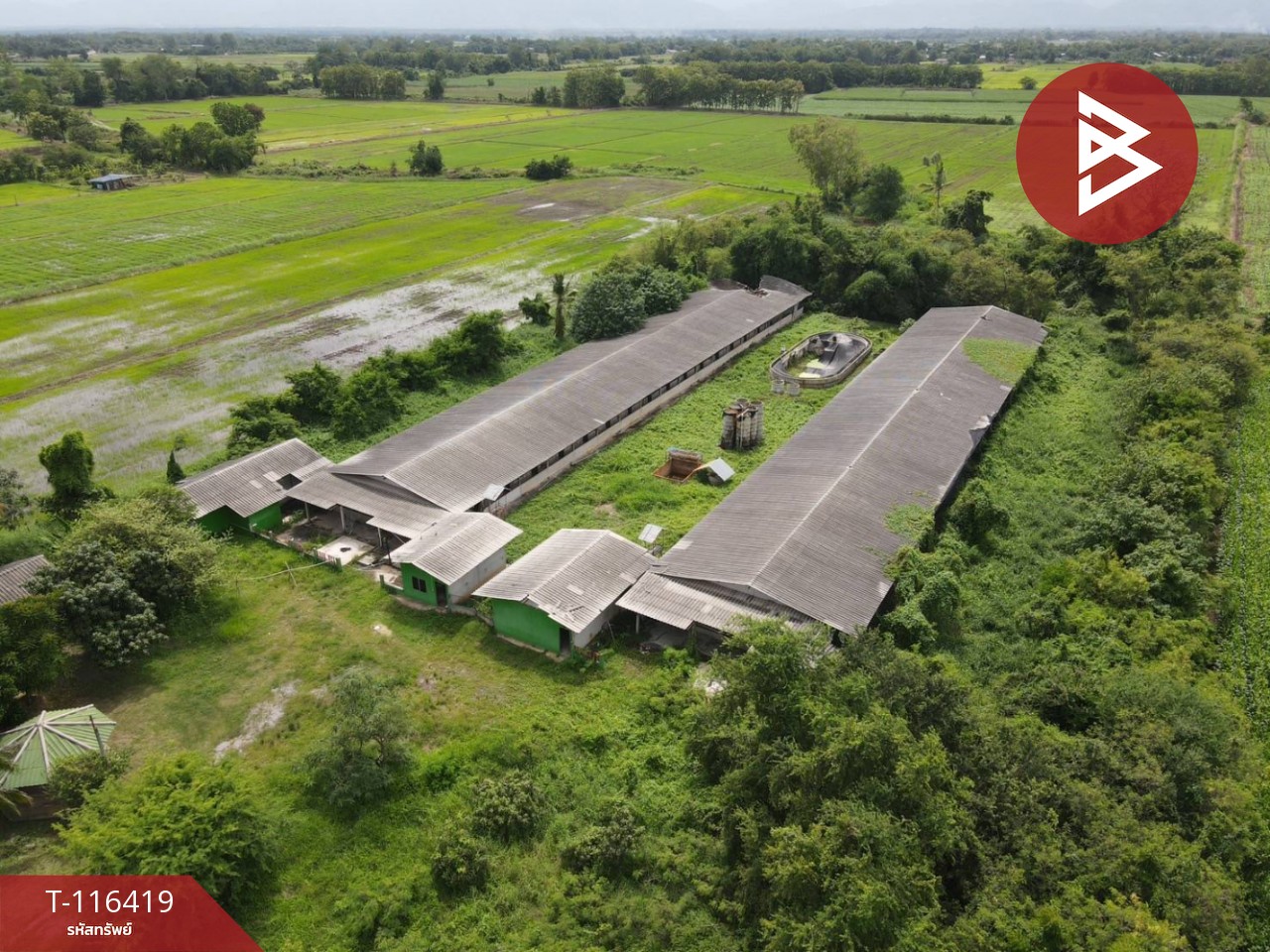 ขายที่ดินสวย เนื้อที่ 11 ไร่ 2 งาน 77.6 ตารางวา ต.สะเดียง เพชรบูรณ์ 5