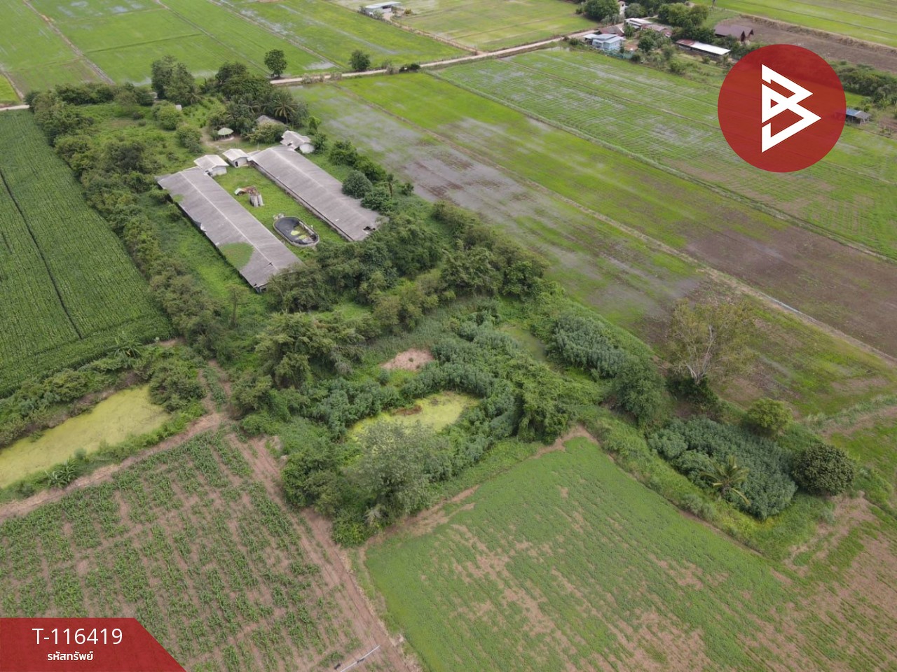 ขายที่ดินสวย เนื้อที่ 11 ไร่ 2 งาน 77.6 ตารางวา ต.สะเดียง เพชรบูรณ์ 7