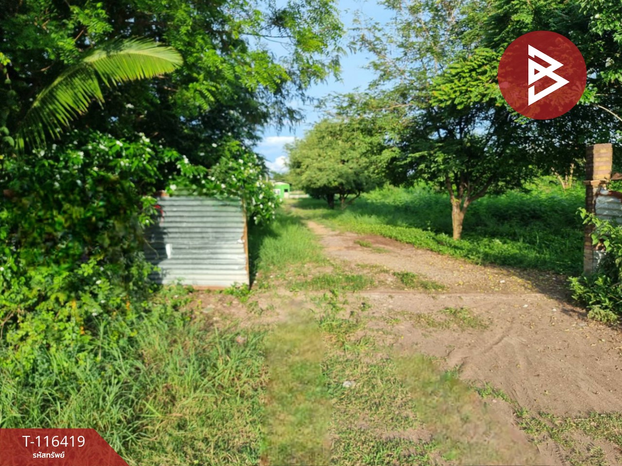 ขายที่ดินสวย เนื้อที่ 11 ไร่ 2 งาน 77.6 ตารางวา ต.สะเดียง เพชรบูรณ์ 2