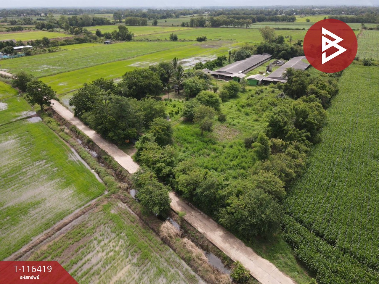 ขายที่ดินสวย เนื้อที่ 11 ไร่ 2 งาน 77.6 ตารางวา ต.สะเดียง เพชรบูรณ์ 6