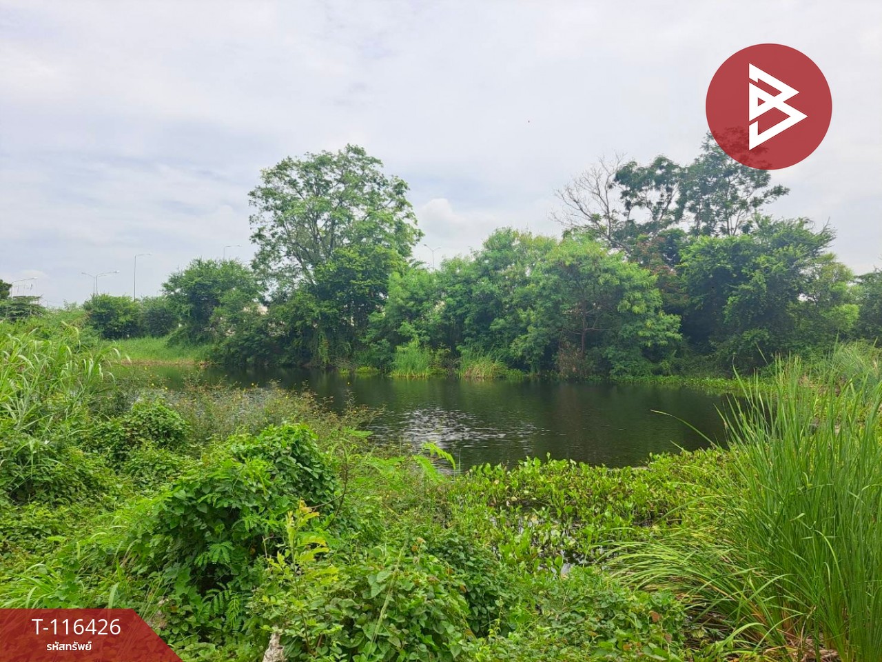 ขายที่ดินเปล่า พร้อมสระน้ำในพื้นที่ เนื้อที่ 2 ไร่ 3 งาน 3.8 ตารางวา อ.ตาคลี นครสวรรค์ 6