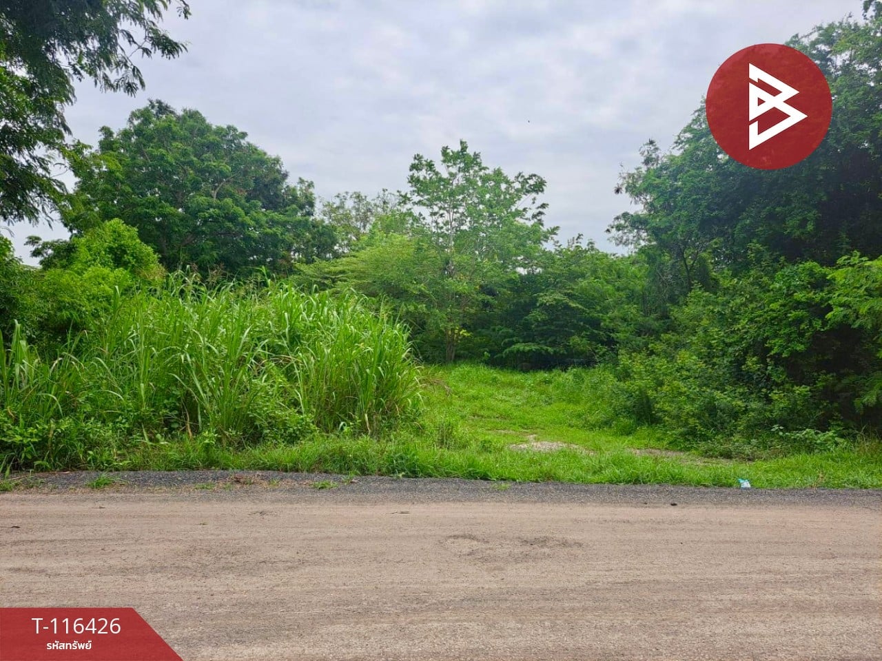 ขายที่ดินเปล่า พร้อมสระน้ำในพื้นที่ เนื้อที่ 2 ไร่ 3 งาน 3.8 ตารางวา อ.ตาคลี นครสวรรค์ 3